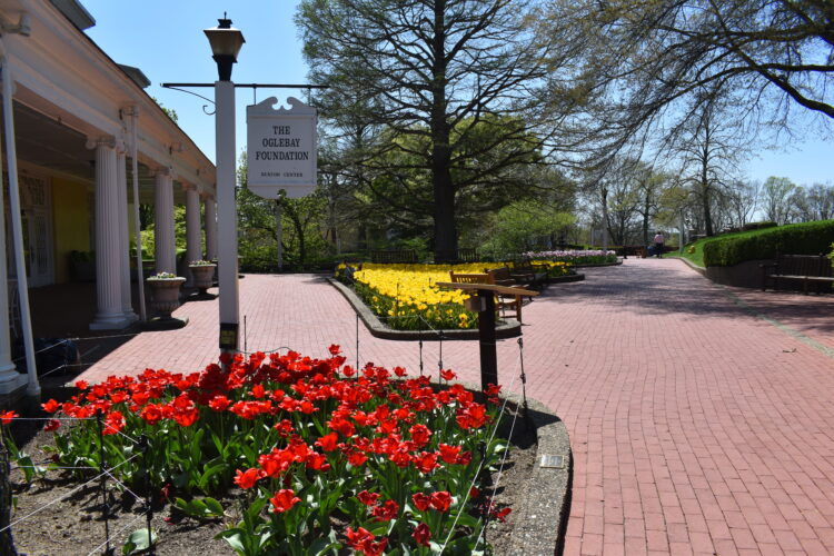 Oglebay Flower Show Displays Into May